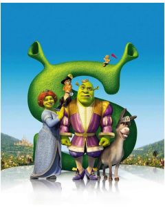 Photography Background Backdrop Cartoon 5x7 Wild Outside Shrek Birthday Party Banner Custom Baby Birthday Photo Vinyl Backdrops