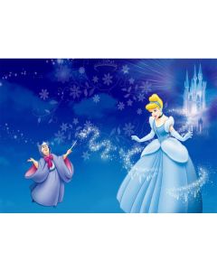 Cinderella Backdrops for Photography 7x5 Fairytale Castle Magical Witch Happy Birthday Cinderella Background Banner for Girls Parties Customized