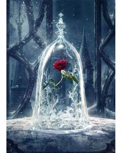 Photography Backdrop Rose in Crystal Jail 5x7 Black Iron Door Beauty and Beast Photo Backgrounds for Photographer Vinyl Backdrops